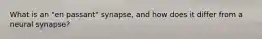 What is an "en passant" synapse, and how does it differ from a neural synapse?