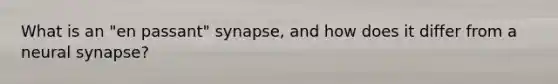 What is an "en passant" synapse, and how does it differ from a neural synapse?