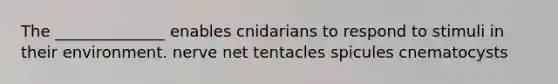 The ______________ enables cnidarians to respond to stimuli in their environment. nerve net tentacles spicules cnematocysts