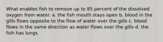 What enables fish to remove up to 85 percent of the dissolved oxygen from water. a. the fish mouth stays open b. blood in the gills flows opposite to the flow of water over the gills c. blood flows in the same direction as water flows over the gills d. the fish has lungs