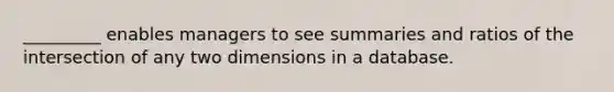 _________ enables managers to see summaries and ratios of the intersection of any two dimensions in a database.