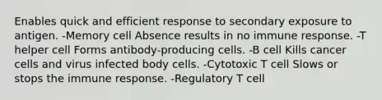 Enables quick and efficient response to secondary exposure to antigen. -Memory cell Absence results in no immune response. -T helper cell Forms antibody-producing cells. -B cell Kills cancer cells and virus infected body cells. -Cytotoxic T cell Slows or stops the immune response. -Regulatory T cell