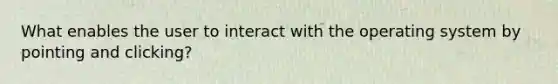 What enables the user to interact with the operating system by pointing and clicking?