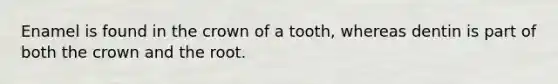 Enamel is found in the crown of a tooth, whereas dentin is part of both the crown and the root.