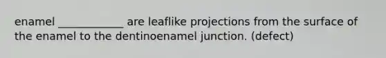 enamel ____________ are leaflike projections from the surface of the enamel to the dentinoenamel junction. (defect)
