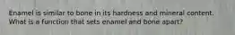 Enamel is similar to bone in its hardness and mineral content. What is a function that sets enamel and bone apart?