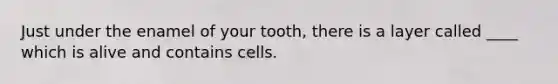 Just under the enamel of your tooth, there is a layer called ____ which is alive and contains cells.