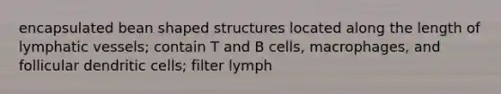 encapsulated bean shaped structures located along the length of lymphatic vessels; contain T and B cells, macrophages, and follicular dendritic cells; filter lymph