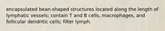 encapsulated bean-shaped structures located along the length of lymphatic vessels; contain T and B cells, macrophages, and follicular dendritic cells; filter lymph.