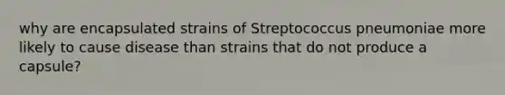 why are encapsulated strains of Streptococcus pneumoniae more likely to cause disease than strains that do not produce a capsule?