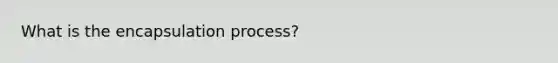 What is the encapsulation process?