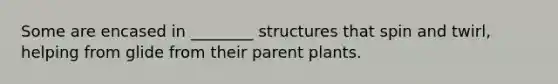 Some are encased in ________ structures that spin and twirl, helping from glide from their parent plants.