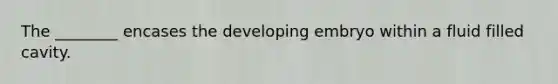 The ________ encases the developing embryo within a fluid filled cavity.