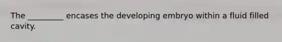 The _________ encases the developing embryo within a fluid filled cavity.