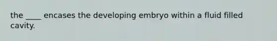 the ____ encases the developing embryo within a fluid filled cavity.