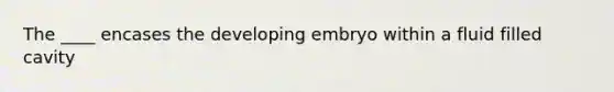 The ____ encases the developing embryo within a fluid filled cavity