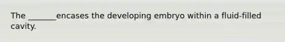 The _______encases the developing embryo within a fluid-filled cavity.