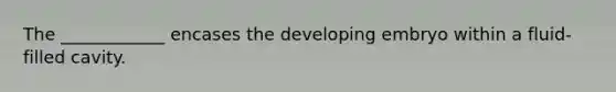 The ____________ encases the developing embryo within a fluid-filled cavity.