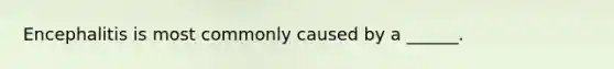 Encephalitis is most commonly caused by a ______.