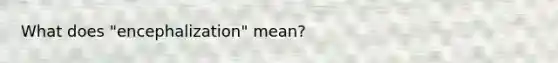 What does "encephalization" mean?