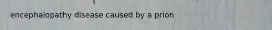 encephalopathy disease caused by a prion