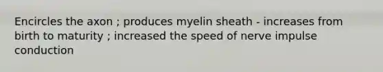 Encircles the axon ; produces myelin sheath - increases from birth to maturity ; increased the speed of nerve impulse conduction