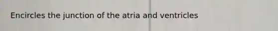 Encircles the junction of the atria and ventricles