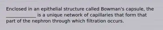 Enclosed in an epithelial structure called Bowman's capsule, the _____________ is a unique network of capillaries that form that part of the nephron through which filtration occurs.