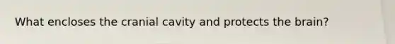 What encloses the cranial cavity and protects the brain?