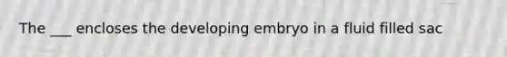 The ___ encloses the developing embryo in a fluid filled sac