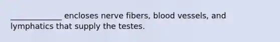 _____________ encloses nerve fibers, <a href='https://www.questionai.com/knowledge/kZJ3mNKN7P-blood-vessels' class='anchor-knowledge'>blood vessels</a>, and lymphatics that supply the testes.