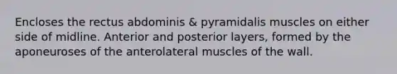 Encloses the rectus abdominis & pyramidalis muscles on either side of midline. Anterior and posterior layers, formed by the aponeuroses of the anterolateral muscles of the wall.