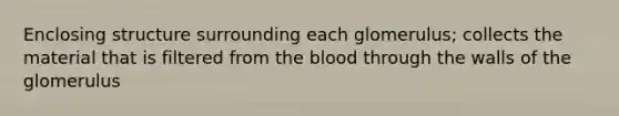 Enclosing structure surrounding each glomerulus; collects the material that is filtered from the blood through the walls of the glomerulus