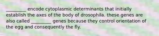 _________ encode cytoplasmic determinants that initially establish the axes of the body of drosophila. these genes are also called _________ genes because they control orientation of the egg and consequently the fly.