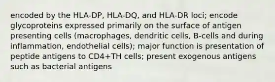 encoded by the HLA-DP, HLA-DQ, and HLA-DR loci; encode glycoproteins expressed primarily on the surface of antigen presenting cells (macrophages, dendritic cells, B-cells and during inflammation, endothelial cells); major function is presentation of peptide antigens to CD4+TH cells; present exogenous antigens such as bacterial antigens