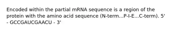 Encoded within the partial mRNA sequence is a region of the protein with the amino acid sequence (N-term...P-I-E...C-term). 5' - GCCGAUCGAACU - 3'