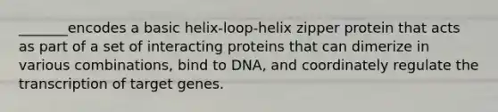 _______encodes a basic helix-loop-helix zipper protein that acts as part of a set of interacting proteins that can dimerize in various combinations, bind to DNA, and coordinately regulate the transcription of target genes.