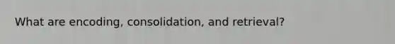 What are encoding, consolidation, and retrieval?