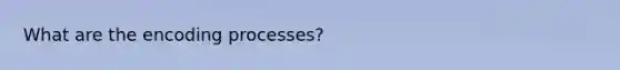 What are the encoding processes?