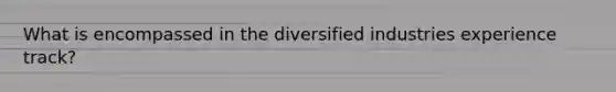 What is encompassed in the diversified industries experience track?