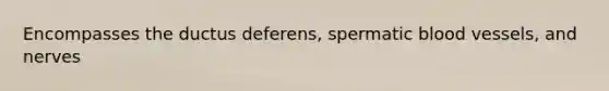 Encompasses the ductus deferens, spermatic <a href='https://www.questionai.com/knowledge/kZJ3mNKN7P-blood-vessels' class='anchor-knowledge'>blood vessels</a>, and nerves