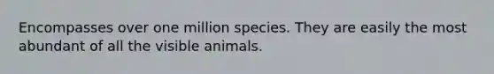 Encompasses over one million species. They are easily the most abundant of all the visible animals.