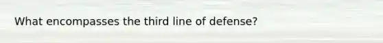 What encompasses the third line of defense?