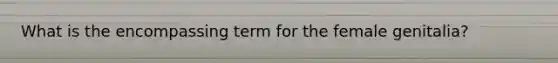 What is the encompassing term for the female genitalia?