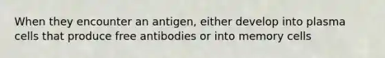 When they encounter an antigen, either develop into plasma cells that produce free antibodies or into memory cells