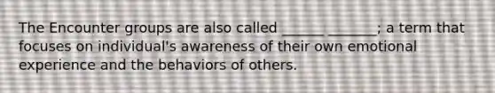 The Encounter groups are also called ______ _______; a term that focuses on individual's awareness of their own emotional experience and the behaviors of others.