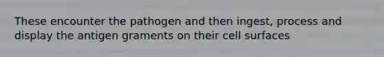 These encounter the pathogen and then ingest, process and display the antigen graments on their cell surfaces