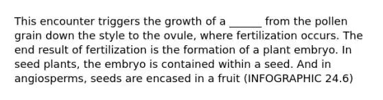 This encounter triggers the growth of a ______ from the pollen grain down the style to the ovule, where fertilization occurs. The end result of fertilization is the formation of a plant embryo. In seed plants, the embryo is contained within a seed. And in angiosperms, seeds are encased in a fruit (INFOGRAPHIC 24.6)