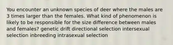 You encounter an unknown species of deer where the males are 3 times larger than the females. What kind of phenomenon is likely to be responsible for the size difference between males and females? genetic drift directional selection intersexual selection inbreeding intrasexual selection