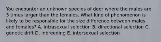 You encounter an unknown species of deer where the males are 3 times larger than the females. What kind of phenomenon is likely to be responsible for the size difference between males and females? A. intrasexual selection B. directional selection C. genetic drift D. inbreeding E. intersexual selection